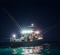 fishing adventures trips Malaysia night fishing