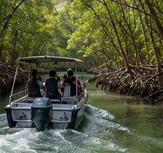 Water adventure mangrove cruise Malaysia 